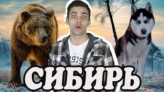 10 Интересных Фактов Про Сибирь