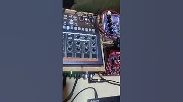 Polyend Synth. Physical modelling synth and Neutron