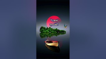 سورة الفتح ، تلاوة خاشعة