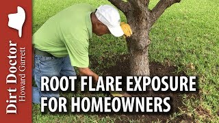 Root Flare Exposure for Homeowners