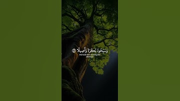 #اذكار #الرحمن #اذكار_المساء #قران_كريم