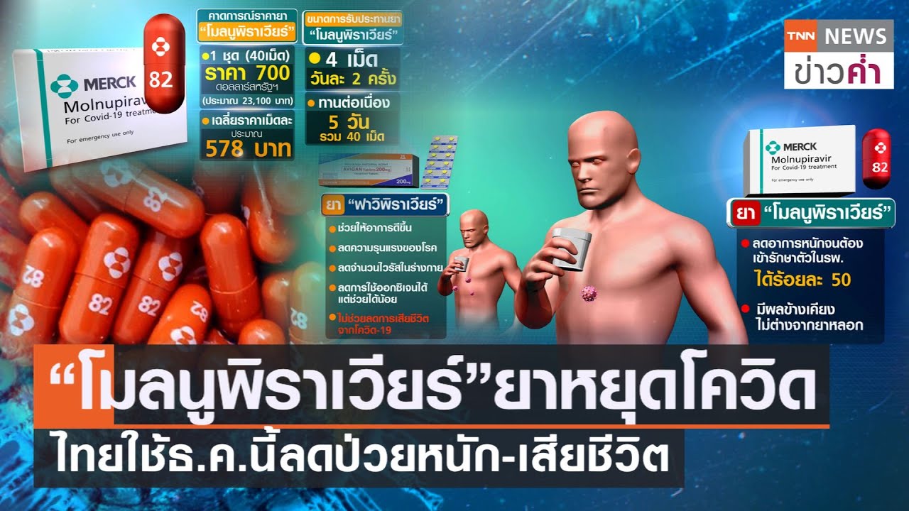 “โมลนูพิราเวียร์”ยาหยุดโควิด ไทยใช้ธ.ค.นี้ลดป่วยหนัก-เสียชีวิต | TNN ข่าวค่ำ | 6 ต.ค. 64