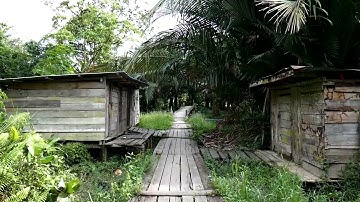 3D Camera Tracking Practise Free video