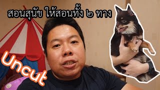 สอนสุนัขต้องสอน 2 ทาง 1.คำสั่งเบื้องต้น 2.สอนนิสัย (Uncut)