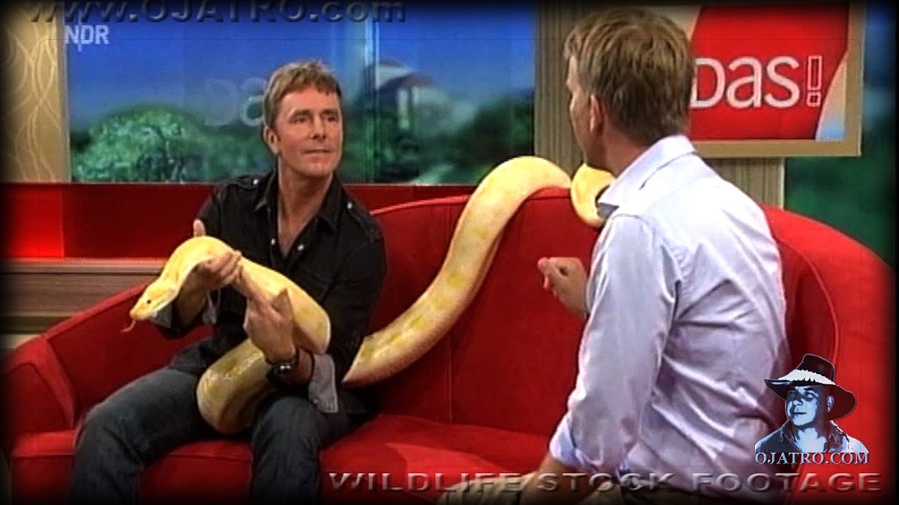 venomous snakes in north america Ojatro on German TV Show Part 01/04
