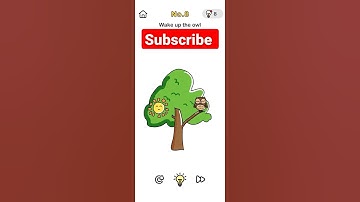 brain out level 8 problem solve wake up the owl?