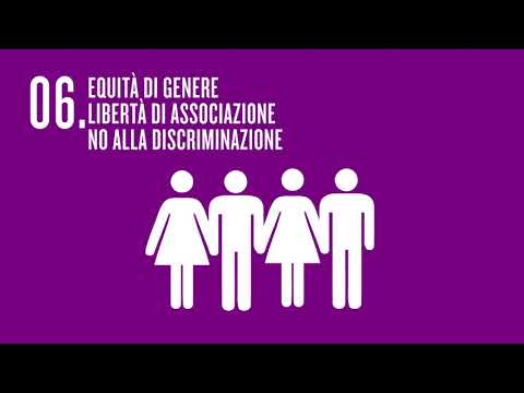 Video: Qual è lo scopo della certificazione del commercio equo?