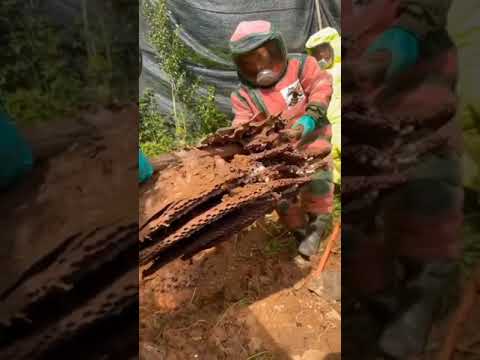 غزو الفضاء Fyp Explore Explorepage Trending Easy Gaming Spiderman