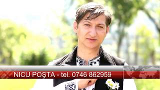 NICU POŞTA - De tri zile strâg la poartă