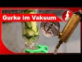 GURKE in der VAKUUM-DESTILLE - aromaschonend destillieren - diSTILLed
