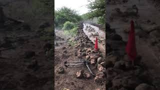 Kurutu kichwa chini...