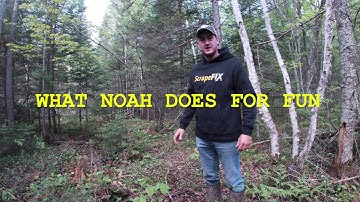 How to Install The Vine by Scrapefix