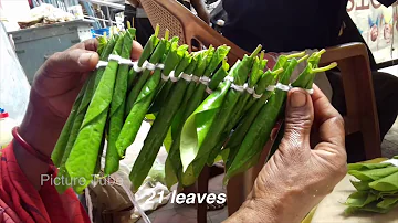 ஆஞ்சநேயருக்குவெற்றிலையிலமாலைகட்டுவதுஎப்படி? Betel leaf Garland forLordHanuman blessings |PictureTube