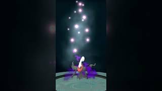 Purifiable hundo so I did it! From Wild Area 2025 14/14/14   #pokémongo