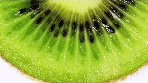 Rotating Kiwi | Stock Footage - Videohive