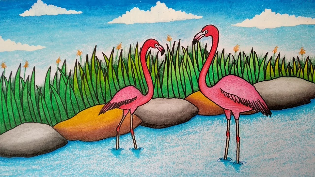 5300 Sketsa Gambar Burung Flamingo Gratis Terbaru
