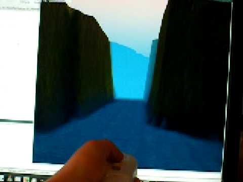 Wiimote flight