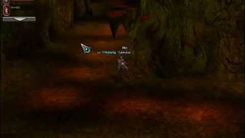 Metin2 Guide - easy monkey dungeon - way to the monument