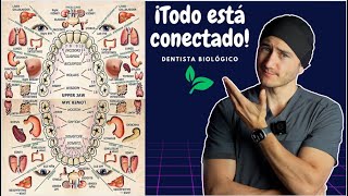 "Todos quieren atenderse con un Dentista Biológico"