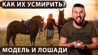 Лошади! Как фотографировать с лошадьми красиво и безопасно. Фотик В Руки Шоу 44 выпуск Лошади! Как фотографировать с лошадьми красиво и безопасно. Фотик В Руки Шоу 44 выпуск