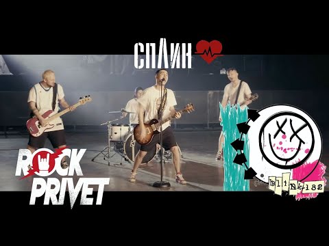 Cплин /  Blink-182 - Моё Сердце (Cover by ROCK PRIVET)