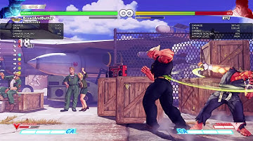 STREET FIGHTER V S2 Guile Loop