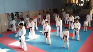 Basic Karate Techniques Karate Hska