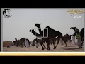 مهرجان قطر الاول للمجاهيم اليوم الثاني الجزء الاول ٢٠١٨ قناة اصايل قطر