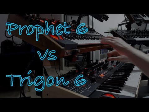 Prophet 6 vs Trigon 6