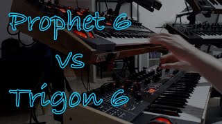 Prophet 6 vs Trigon 6