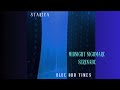 Starica Blue Odd Times Full Album