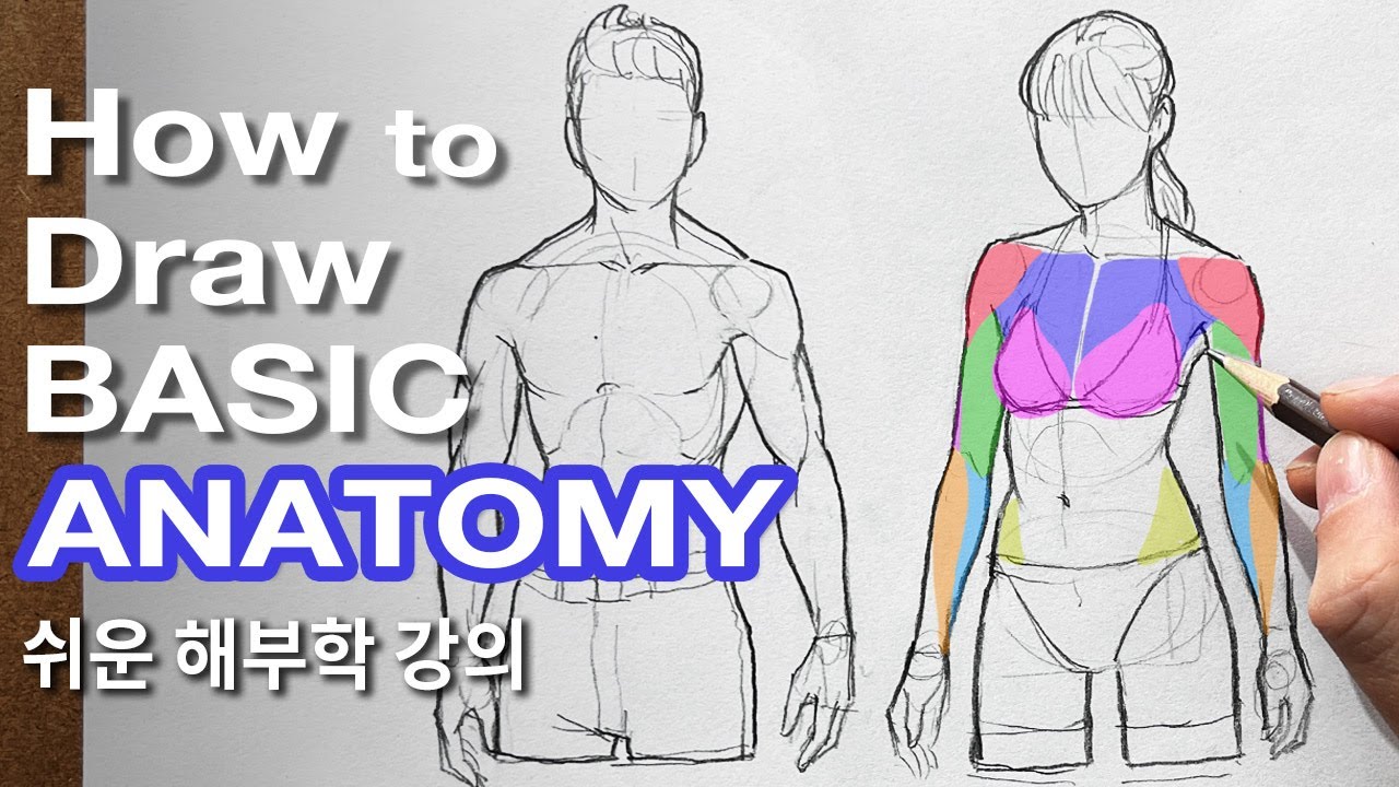 How to Draw Coolest Things Learn Draw in 30 Days Everything and Anything:  The Easy and Simple Drawing Book to Learn Anatomy, Shading, Textures,  Faces