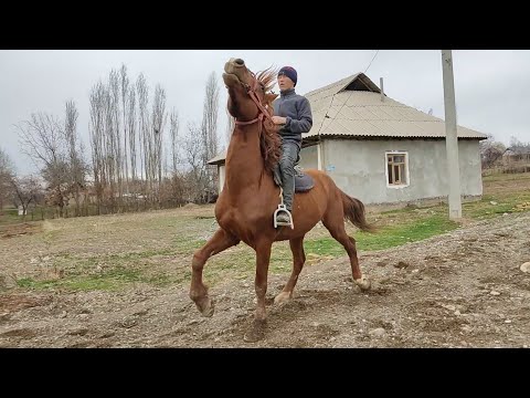 Video: Күйбөс изоляция. Анын түрлөрү жана колдонуу өзгөчөлүктөрү