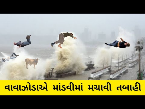 માંડવીમાં બહુ જ ખરાબ હાલત | બિપોરજોય વાવાઝોડાએ માંડવીમાં તબાહી મચાવી દીધી | V2 Digital