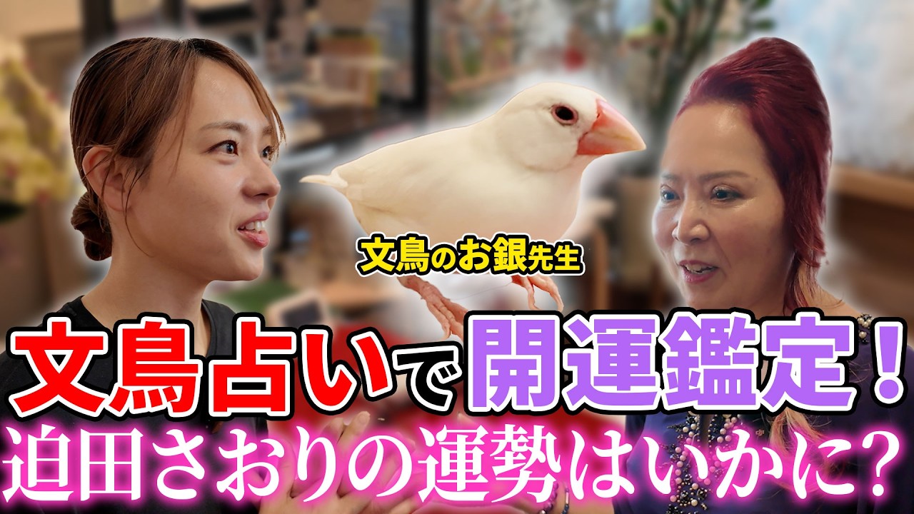 的中しすぎて絶句…文鳥占い師お銀先生に迫田の未来を占ってもらった。その結果は？