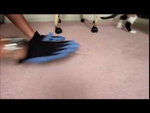 猫の抜け毛 カーペット掃除 Carpet Cleaning Fallen Hair Of A Cat Youtube