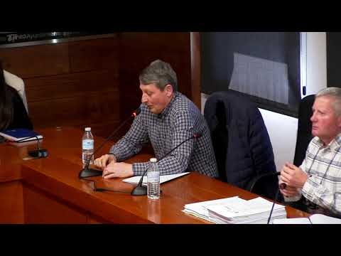 Pleno Ordinario del
