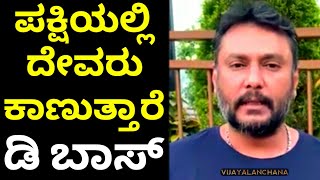 Avru nodo devru | DARSHAN talking about BIRDS | D BOSS mass dialogues | D BOSS | Vijayalanchana