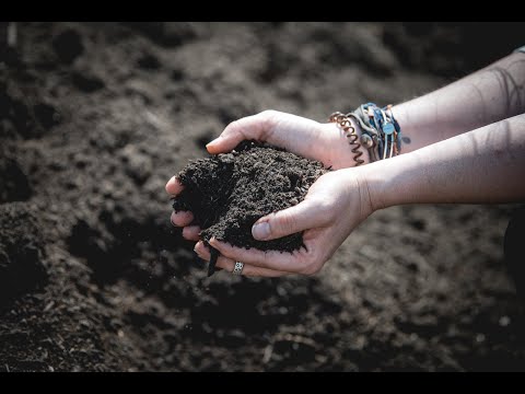 Prairie Lane Elementary is a Composting School!