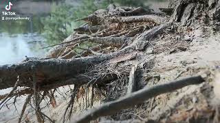 Брест. Озеро. Весна. Cinematic video. Canon m50 + Sigma 17-50 f2.8,  c-log