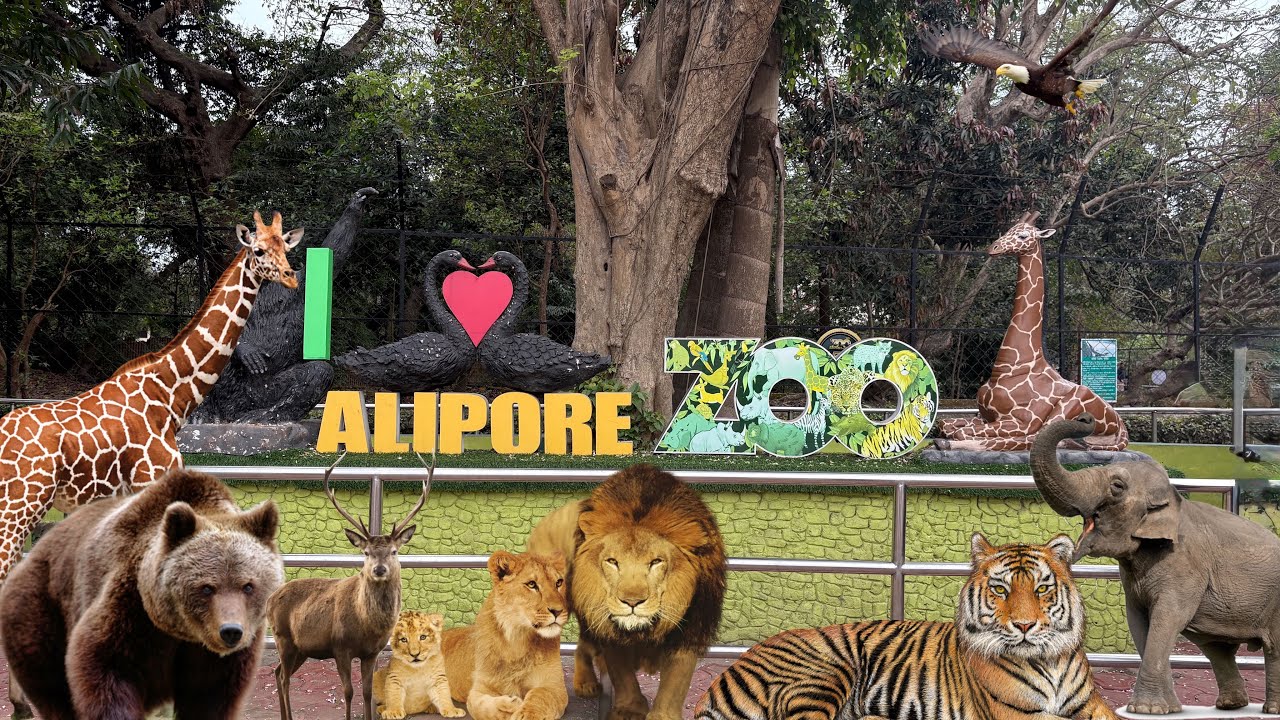 Alipore Zoo🐅🦘🐊 | Kolkata | 