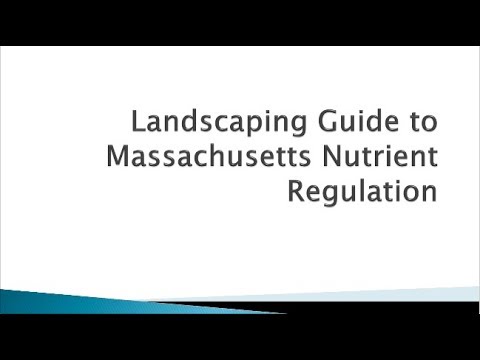 What Time Can Landscapers Start Working In Massachusetts?