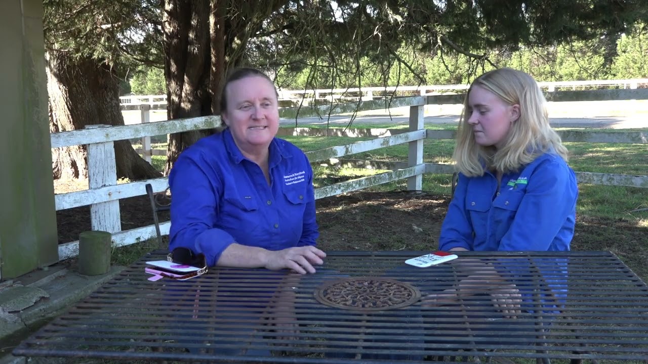 Storybook Alpacas 15 Mins