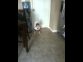 Keegan Walking On His Own 