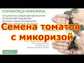 Семена ТОМАТОВ с микоризой| ХОРОШО или ПЛОХО?