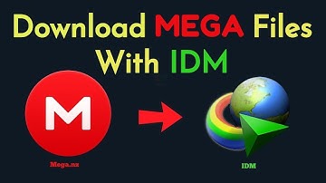 How To Download MEGA Files With IDM (Working 2024)