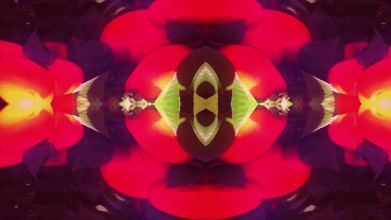 Curren$y - Vintage Haze feat Larry June (16 Grams Visuals)