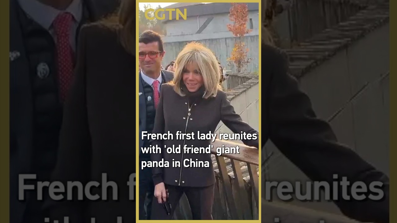 French first lady Brigitte Macron reunites with her 'old friend' giant panda in Chengdu, China