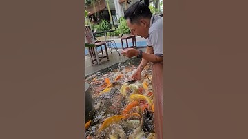 Cà Phê Cá Koi #cambodia #dulich #khampha #thinhhanh #trendingshorts