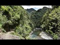 Overnight Hike to Pakihi Hut - Urutawa Conservation Area